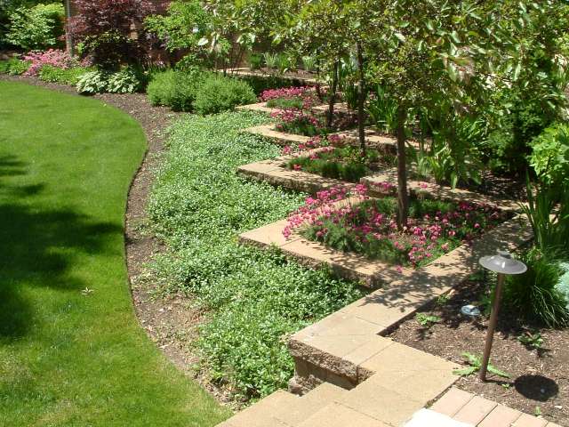 Landscape plantings in beds at rear of house located in Shaker Heights Ohio near Cleveland.